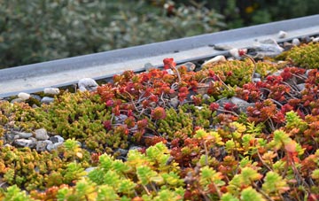 the cost of Leedstown green roof installation